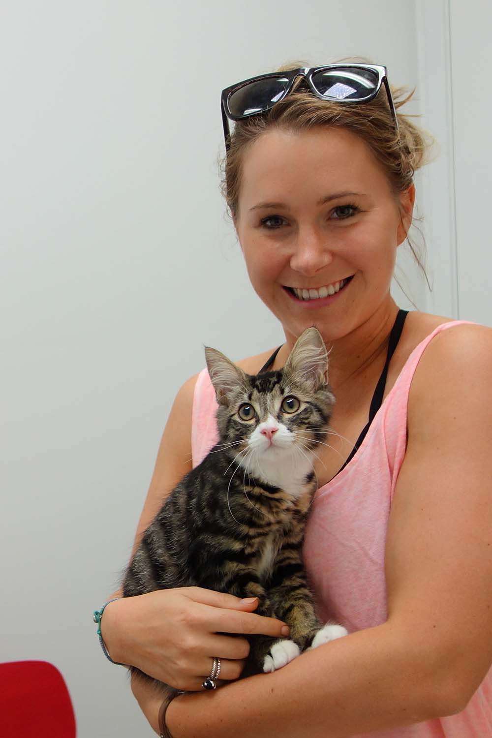 North Melbourne Vet / Northcote Animal Hospital Vet Care Clinic