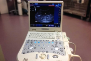 Pet Ultrasonography