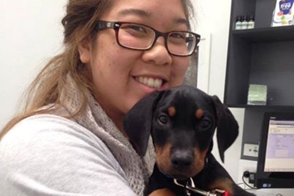 North Melbourne Vet / Northcote Animal Hospital Vet Care Clinic