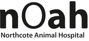 noah logo in black