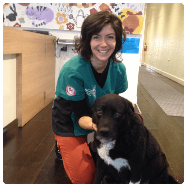 Dr Joanna Swindells with a dog