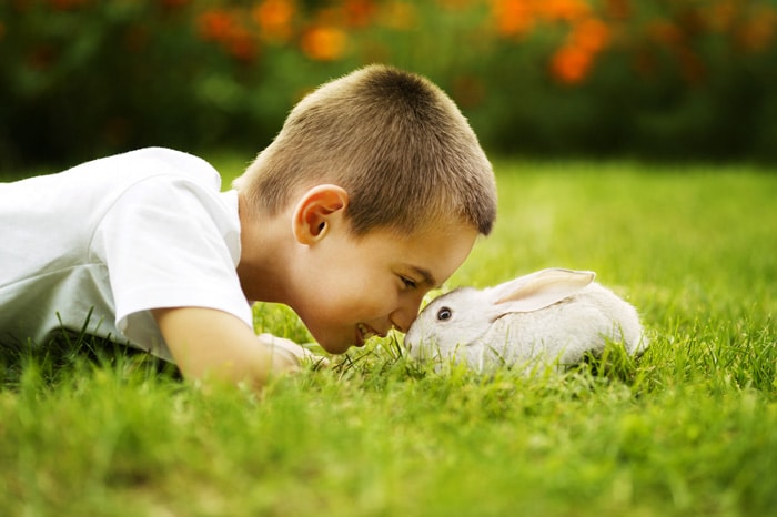 Boy with a Rabbit on the grass