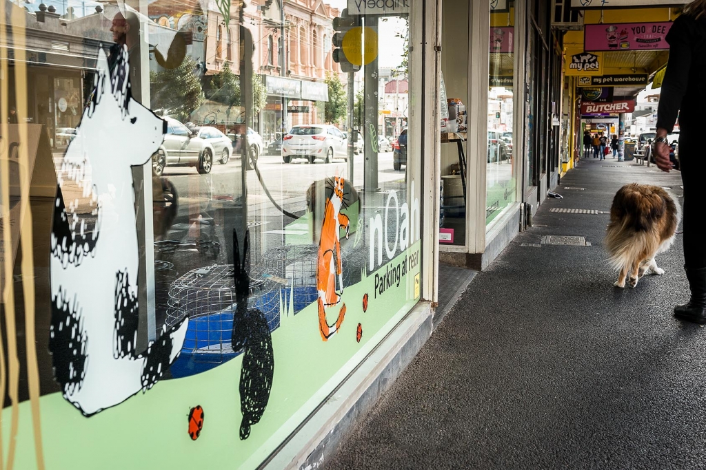 Dog Vet Melbourne Veterinarian Hospital Near Me, Northcote VIC