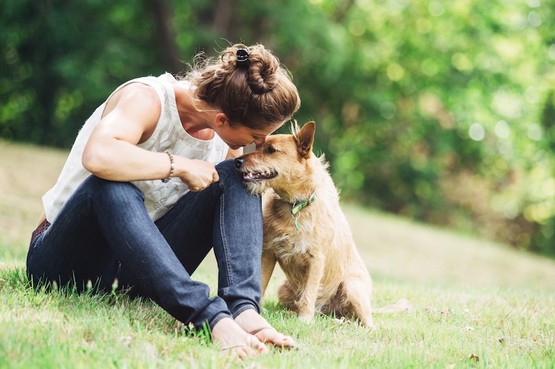 dog with owner sitting on the grass